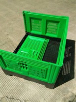 Plastična kutija za palete za sektore argo-prehrambenih proizvoda