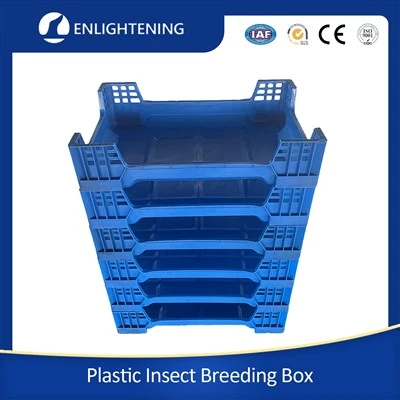 Black Soldier Fly Bin Factory